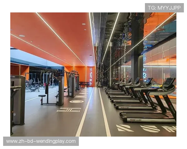 进口健身器材价格与选择：高端设备市场分析